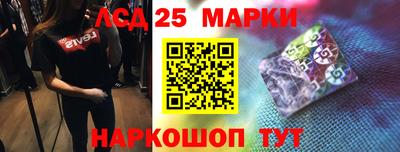 прущие грибы Будённовск
