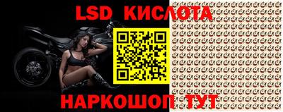прущие грибы Будённовск
