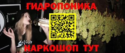 прущие грибы Будённовск