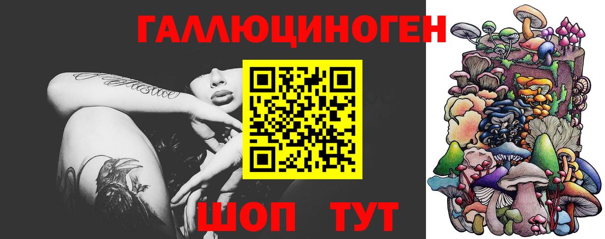 Псилоцибиновые грибы Psilocybe  Вход с VPN  Приморско-Ахтарск 